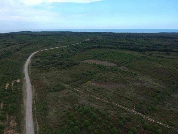 Foto - Erdoğan duyurdu! O bölge böyle görüntülendi