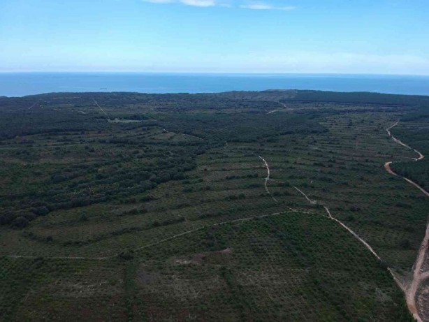 Foto - Erdoğan duyurdu! O bölge böyle görüntülendi