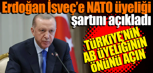 Erdoğan kritik zirve öncesi çağrıda bulunmuştu! NATO’dan Türkiye’ye AB desteği