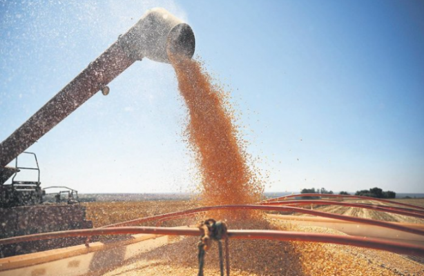 Foto - Erdoğan'ın girişimleri dünyaya umut oluyor! Soçi sonrası 40 gemiyle Afrika’ya umut taşınacak