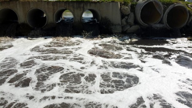 Foto - Ergene'de siyanür ve kurşun çıktı!