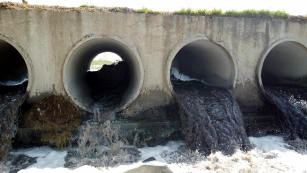 Foto - Ergene'de siyanür ve kurşun çıktı!