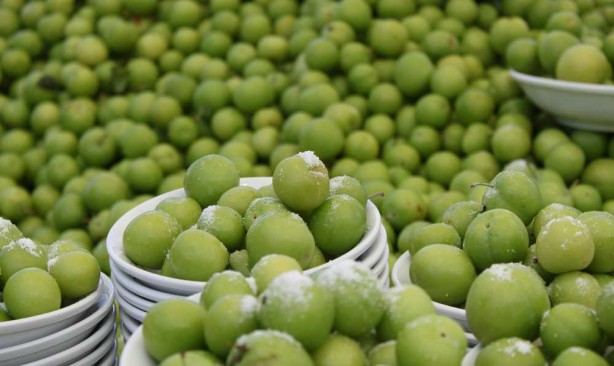 Foto - Eriği tuzla yiyenlere kötü haber! Uzmanlardan hayati uyarı