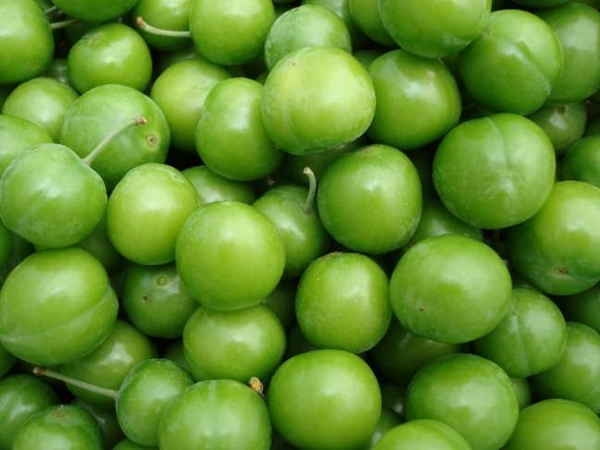 Foto - Eriğin faydaları saymakla bitmiyor!