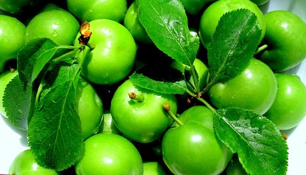 Foto - Eriğin faydaları saymakla bitmiyor!