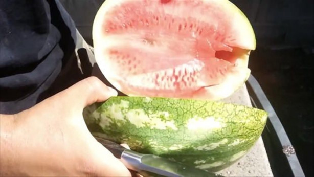 Foto - Erimiş bakırı karpuza döktü! İşte sonuç...