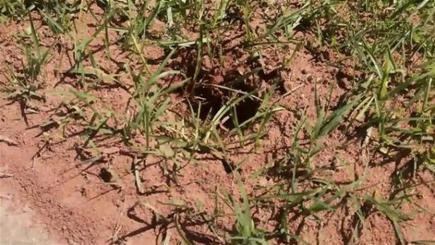 Eritilmiş alüminyumu karınca yuvasına döktü!