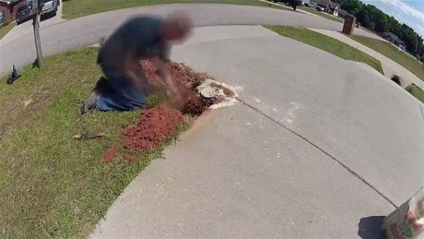 Foto - Eritilmiş alüminyumu karınca yuvasına döktü!