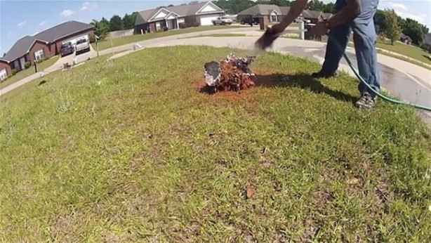 Foto - Eritilmiş alüminyumu karınca yuvasına döktü!