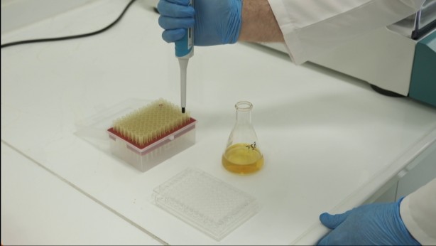 Erken dönem kireçlenme tedavisi için doğal dokuya en yakın kıkırdak-kemik ünite üretilecek