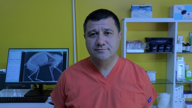 Erken tedbir şart! Yaz sinekleri kışın nereye kaçıyor?