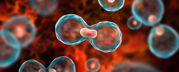 Foto - Erken yaşlarda görülmeye başlandı! İşte baş ve boyun kanseri riskini arttıran besinler