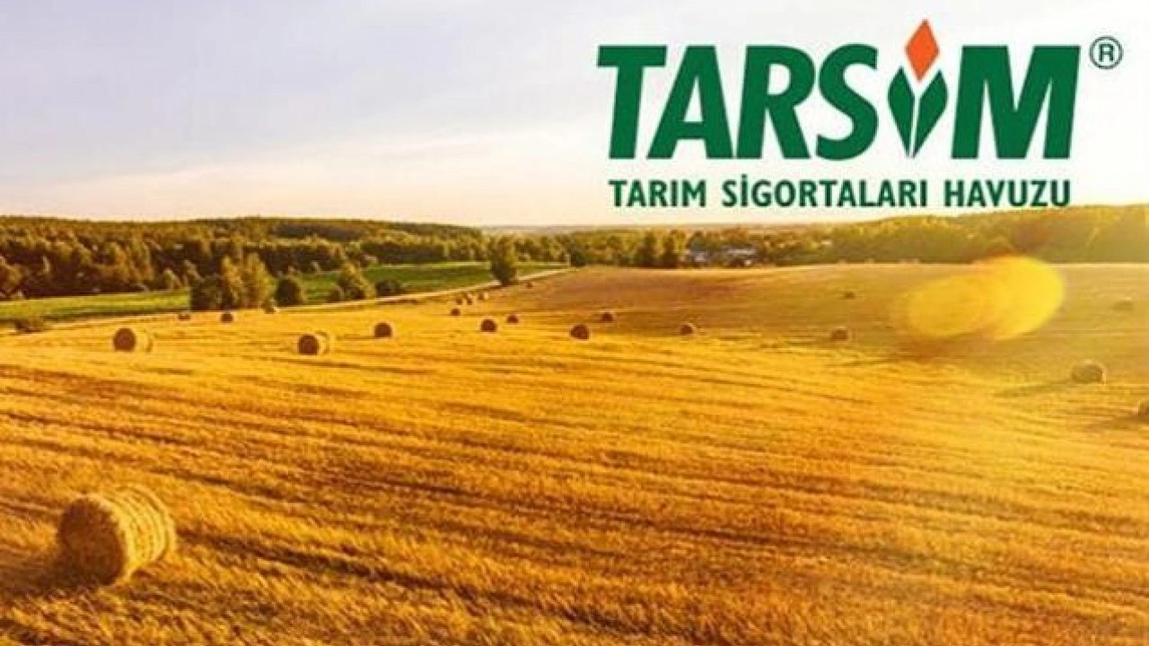 Foto - Ermenistan'dan beklenmedik karar! Türkiye'den yardım istediler, 'görüşüyoruz' diyerek duyurdular