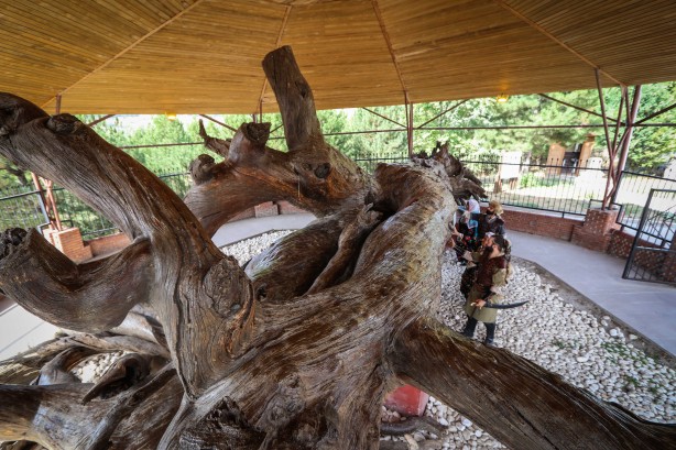 Foto - Ertuğrul Gazi'nin annesinin kabrinden başlıyor! Kuruluş dönemindeki tarihi yapı ile ilgili müjde