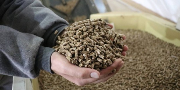 Foto - Erzincan’a bölgenin en büyüğünü kurdu, saatte 5 ton üretimle rekor kırdı! Türk girişimci, şimdi ondan kazandığı parayı sayamıyor