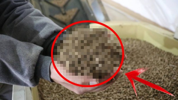 Foto - Erzincan’a bölgenin en büyüğünü kurdu, saatte 5 ton üretimle rekor kırdı! Türk girişimci, şimdi ondan kazandığı parayı sayamıyor