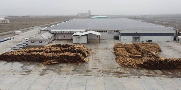 Foto - Erzincan’a bölgenin en büyüğünü kurdu, saatte 5 ton üretimle rekor kırdı! Türk girişimci, şimdi ondan kazandığı parayı sayamıyor