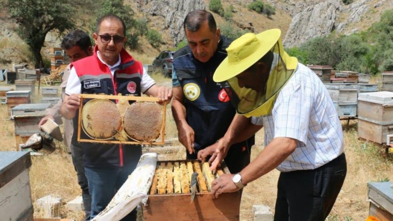 Erzincan’da bal bereketi! Bu yıl bin 500 ton üretim bekleniyor
