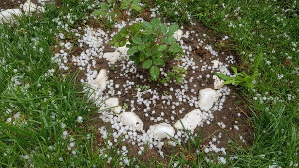 Foto - Erzincan'da dolu yağışı