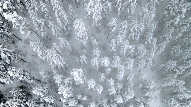 Foto - Erzurum, Kars ve Ardahan'da kar yağışı yerini soğuk havaya bıraktı