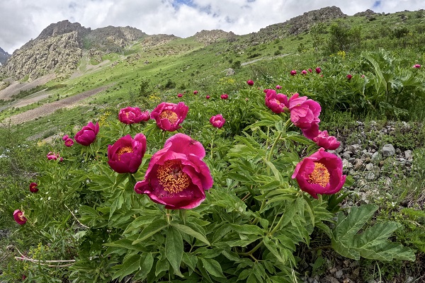 Foto - Erzurum-Rize sınırında nefes kesen manzara