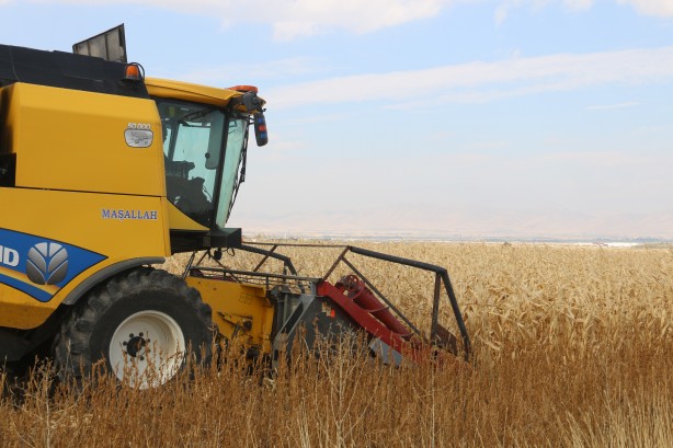 Foto - Erzurum’da bir ilk! Deneme diye yapıldı sonuç müthiş