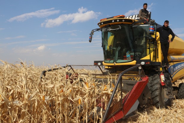 Erzurum’da bir ilk! Deneme diye yapıldı sonuç müthiş