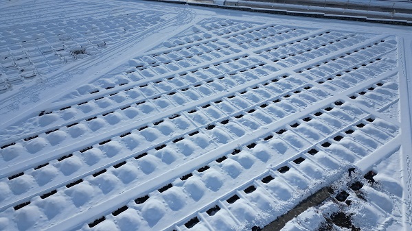 Foto - Erzurum'da kış mezarları hazırlandı