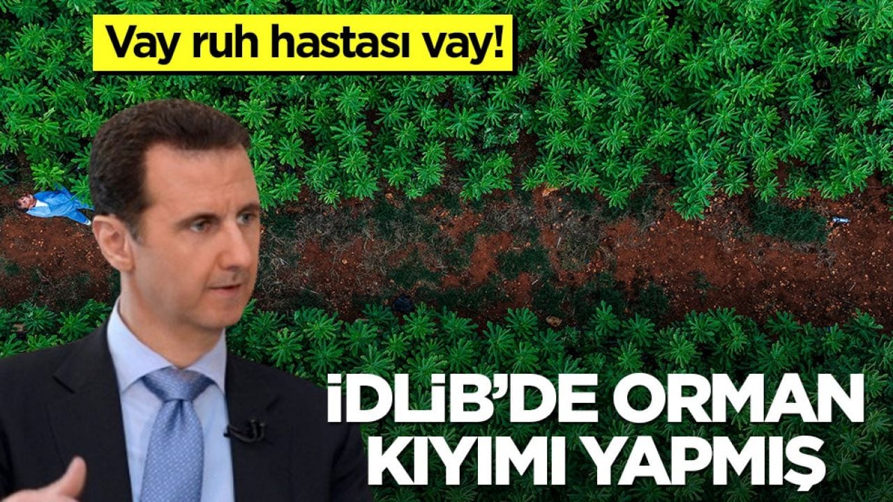 Esed haini yüz binlercesini kesmiş! İdlib'de hayat yeniden yeşilleniyor