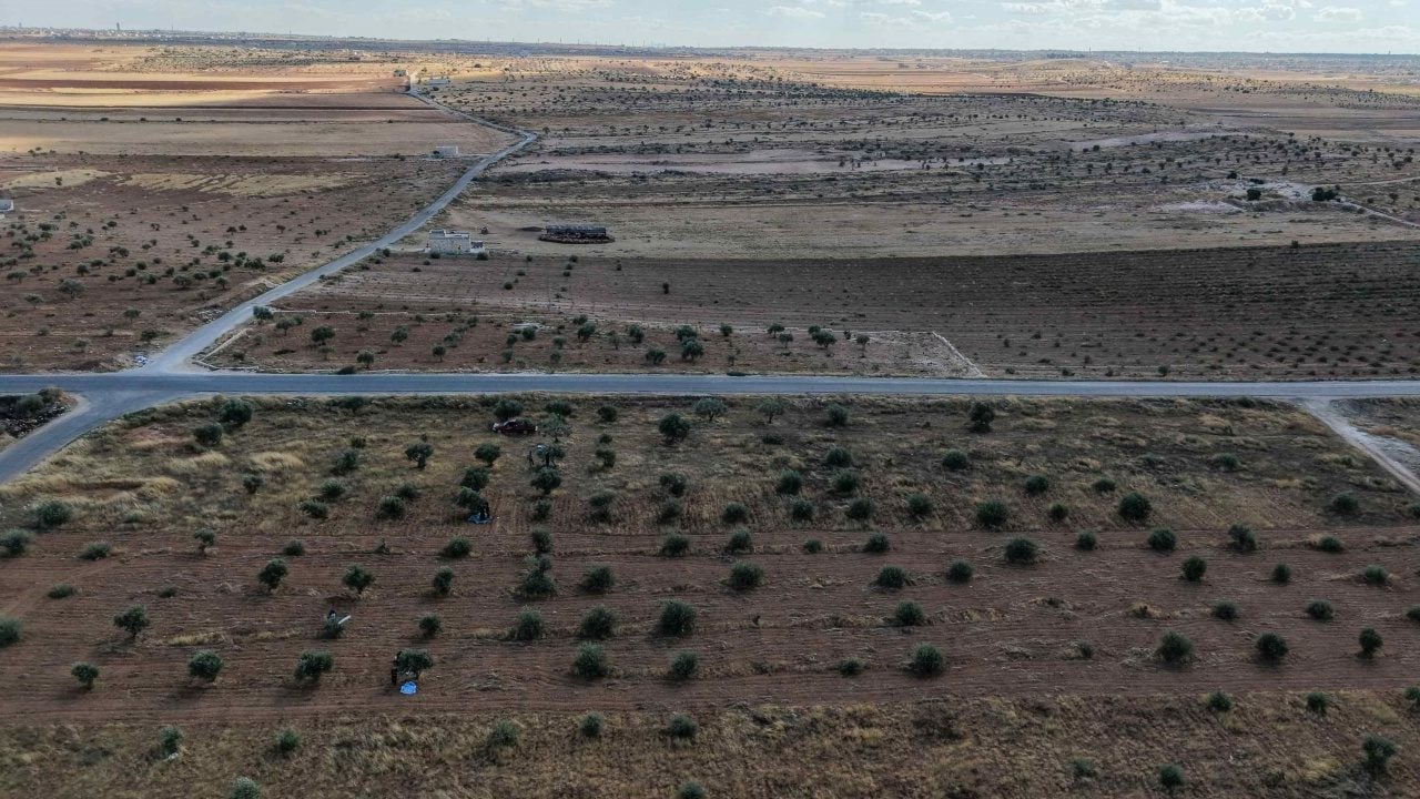 Foto - Esed haini yüz binlercesini kesmiş! İdlib'de hayat yeniden yeşilleniyor