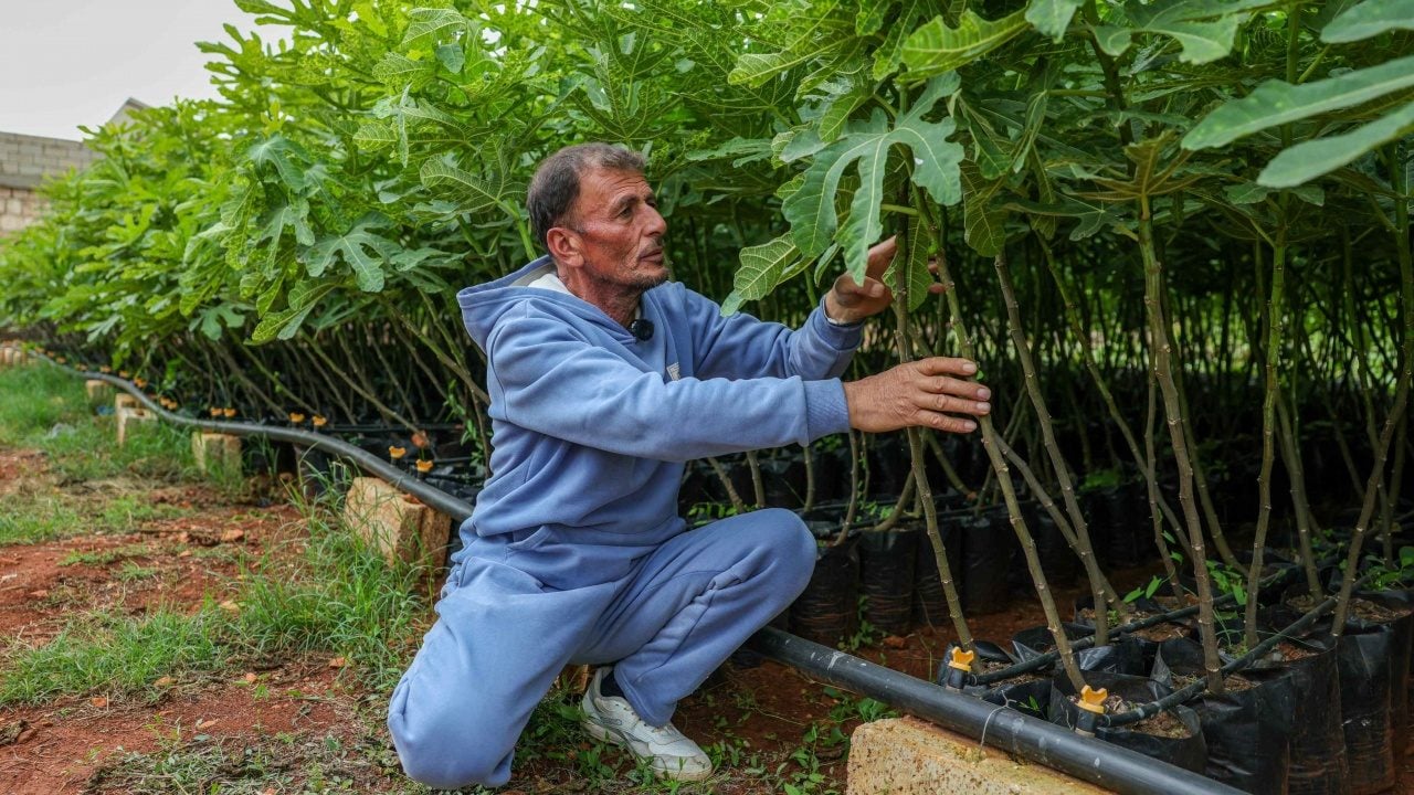 Foto - Esed haini yüz binlercesini kesmiş! İdlib'de hayat yeniden yeşilleniyor