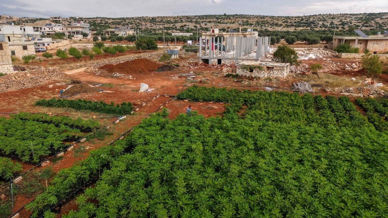 Foto - Esed haini yüz binlercesini kesmiş! İdlib'de hayat yeniden yeşilleniyor