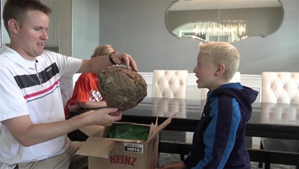 Foto - Eşek arısı kovanının içinden ne çıktı?