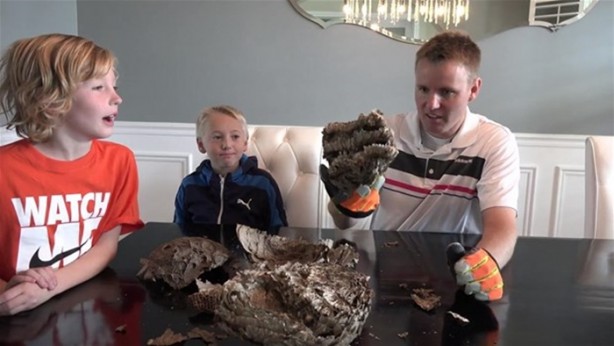 Foto - Eşek arısı kovanının içinden ne çıktı?