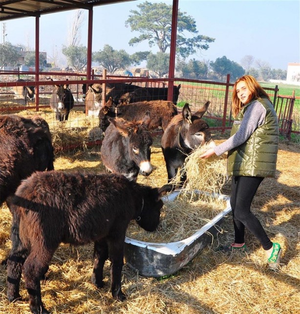 Eşek karaborsaya düştü