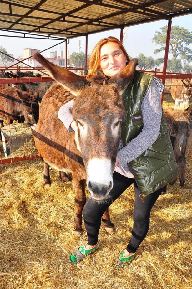 Foto - Eşek karaborsaya düştü