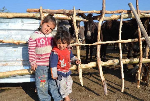 Foto - Eşek sütünün litresini 120 liradan satıyor