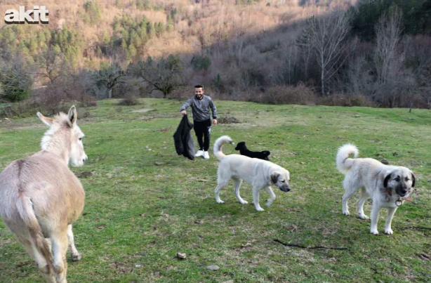 Foto - Eşekle arkadaşlığı herkesi kıskandırıyor