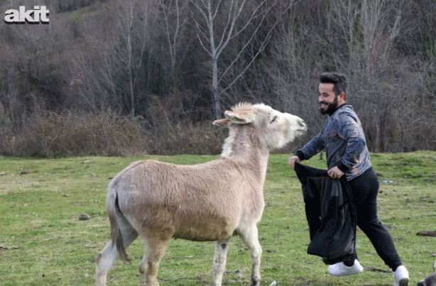 Foto - Eşekle arkadaşlığı herkesi kıskandırıyor