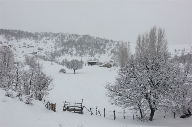 Foto - Eşekle ulaşıma geri dönüldü