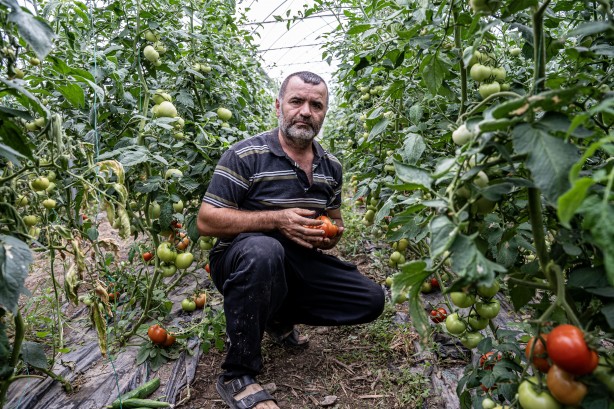 Foto - Eşeklerin dahi otlatılmadığı alana ekim yaptı! Sonuç şok etti, şimdi öğretmen maaşına 10 işçi çalıştırıyor