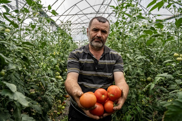 Foto - Eşeklerin dahi otlatılmadığı alana ekim yaptı! Sonuç şok etti, şimdi öğretmen maaşına 10 işçi çalıştırıyor