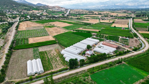 Eşeklerin dahi otlatılmadığı alana ekim yaptı! Sonuç şok etti, şimdi öğretmen maaşına 10 işçi çalıştırıyor