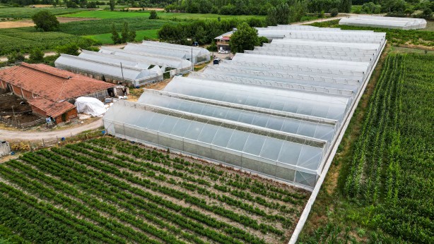 Foto - Eşeklerin dahi otlatılmadığı alana ekim yaptı! Sonuç şok etti, şimdi öğretmen maaşına 10 işçi çalıştırıyor