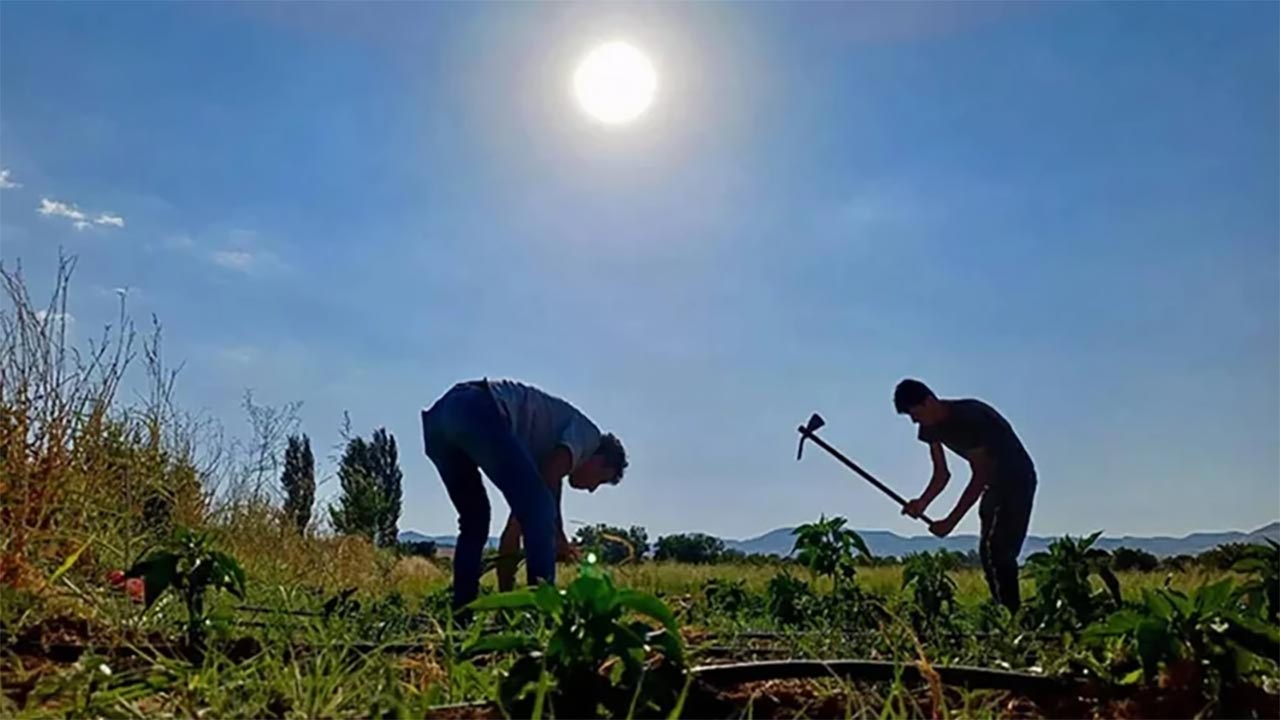 Foto - Eşi evden kovdu, tarlada define buldu! Roma sikkesi servet getirdi