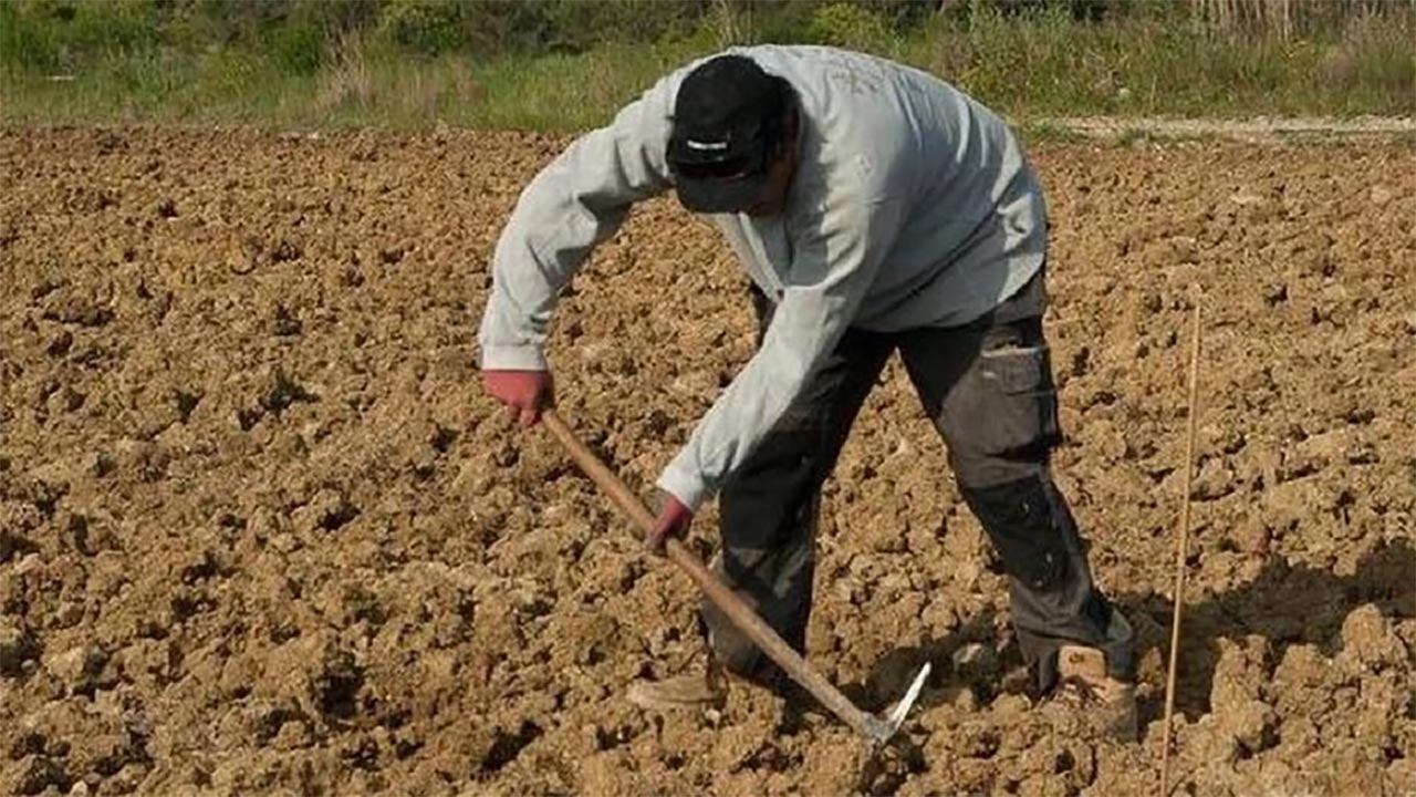 Foto - Eşi evden kovdu, tarlada define buldu! Roma sikkesi servet getirdi