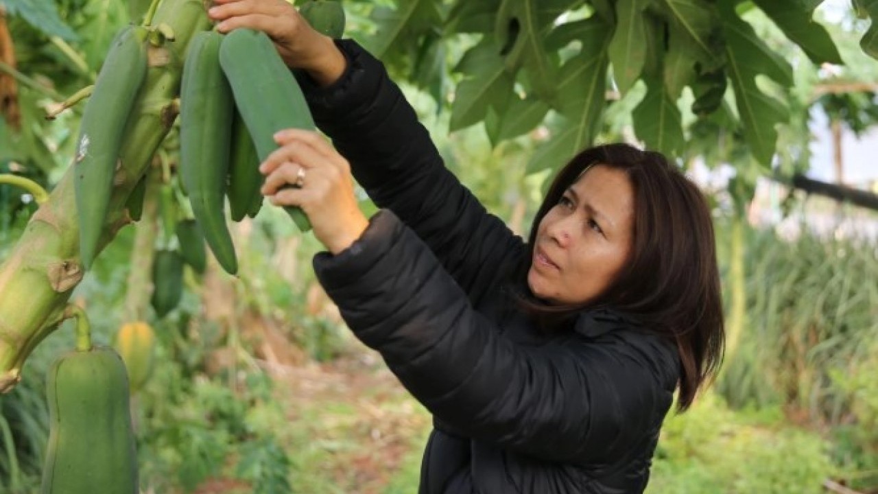 Foto - Eşi seviyor diye üretmeye başlamıştı! Şimdi paraya para demiyor