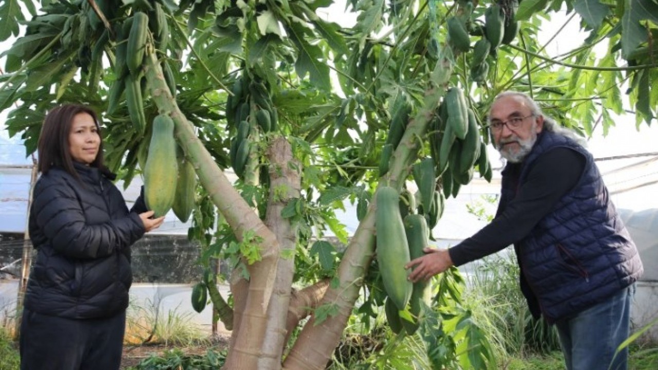 Eşi seviyor diye üretmeye başlamıştı! Şimdi paraya para demiyor