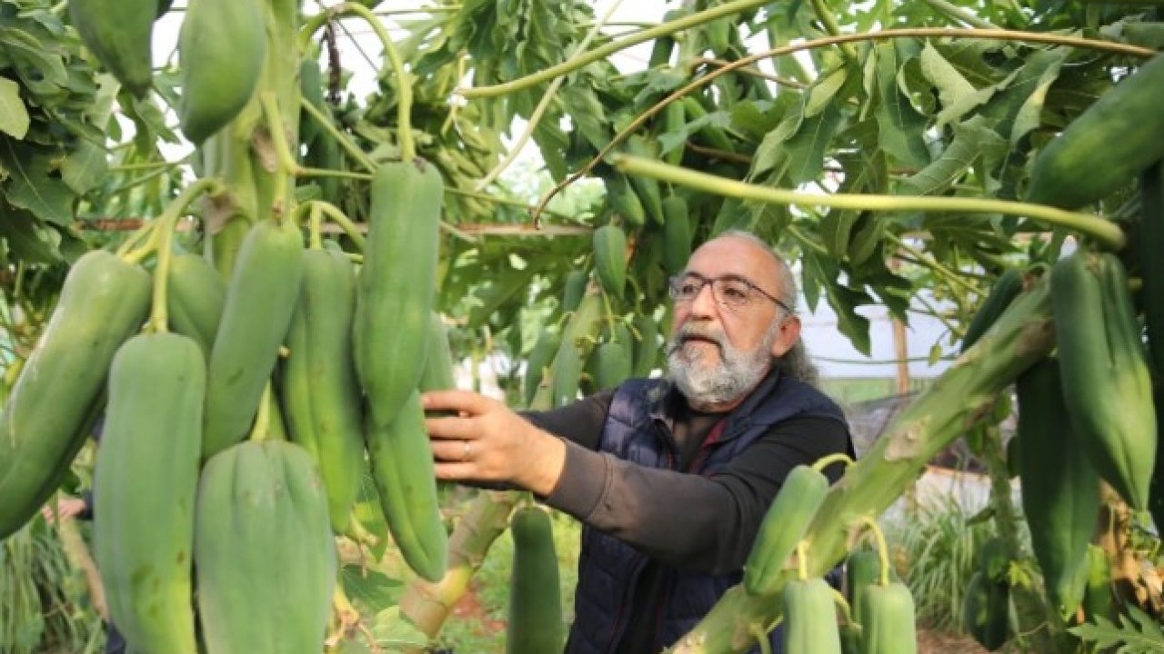 Foto - Eşi seviyor diye üretmeye başlamıştı! Şimdi paraya para demiyor