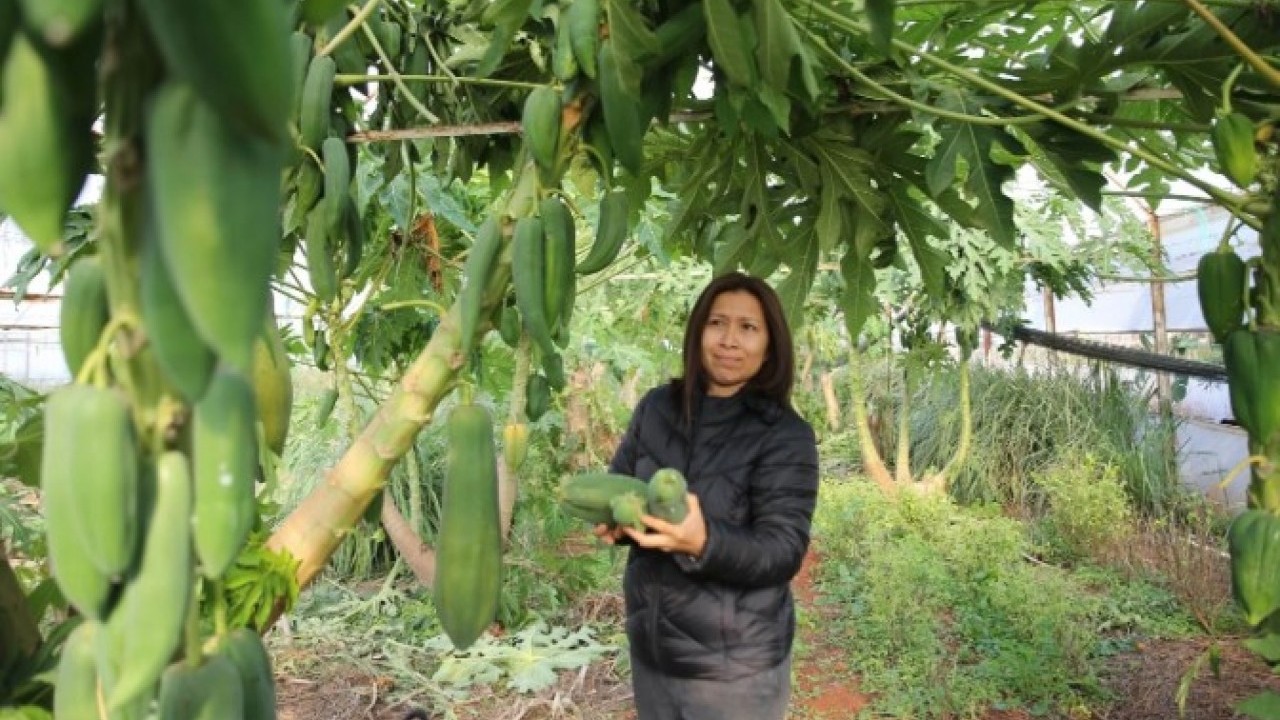 Foto - Eşi seviyor diye üretmeye başlamıştı! Şimdi paraya para demiyor